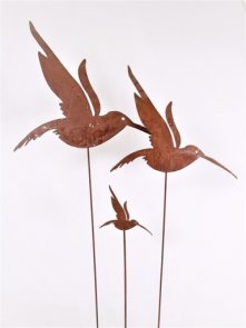 Kolibri på pinne rost mitt&ditt