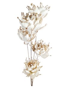 Bukett torkad shola spike flower Anteba