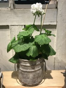 Kruka med grepe betong Miljögården