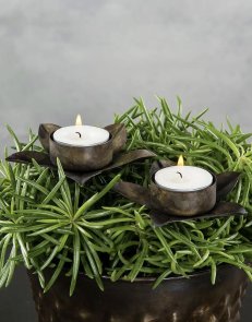 Flaskljushållare kronljus