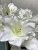 Konstgjord Dekorativ Naturtrogen Snitt Amaryllis. Mörkröd. H 65cm. Från Mr Plant