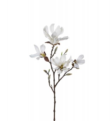 Magnolia 50cm vit konstväxt Mr Plant
