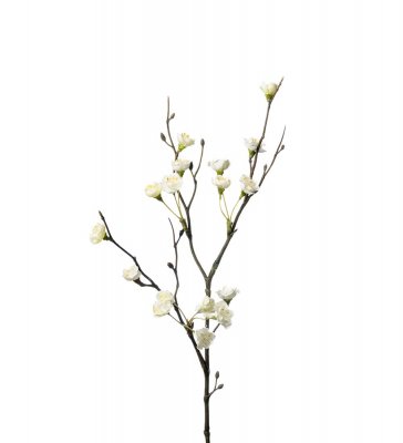 Blomkvist vit konstväxt Mr Plant
