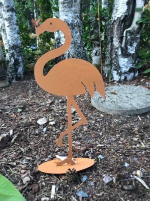 Flamingo på platta rost Västanvinden
