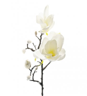 Magnolia vit konstväxt Mr Plant